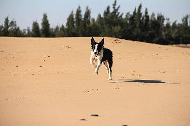 《燕云十六声》进度分享 新关卡“十二载恩仇”